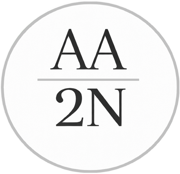 Logo AA2N